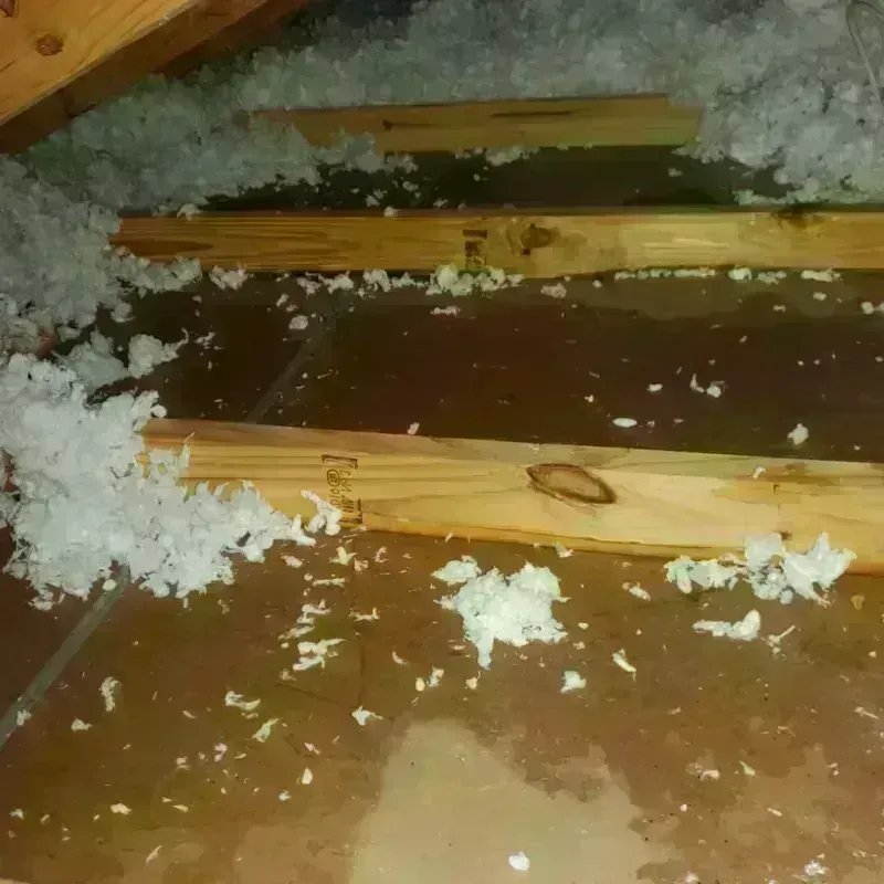 Attic Water Damage in Benton, TN